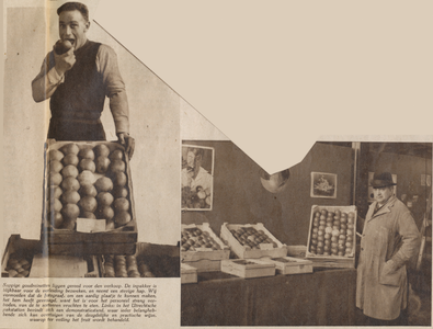 874708 Collage van 2 foto's betreffende het machinaal sorteren van appels en peren op de Groenten- en Vruchtenveiling ...